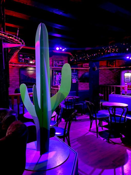 Le Cactus Bar